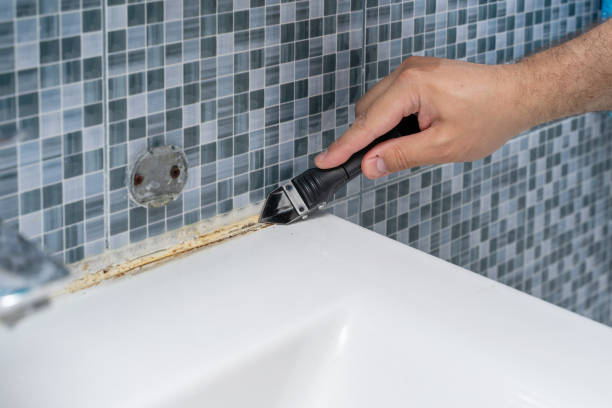 Best Emergency Mold Removal  in Piedmont, CA